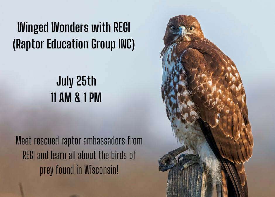 Winged Wonders with REGI (Raptor Education Group INC)