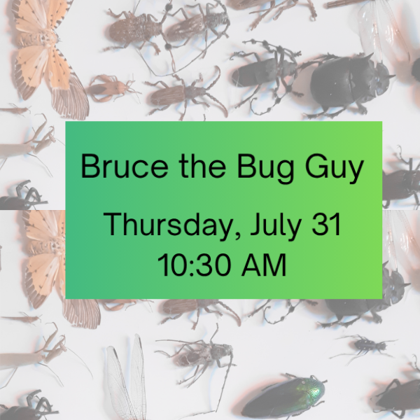 Various insect specimens with a green text box in the center.